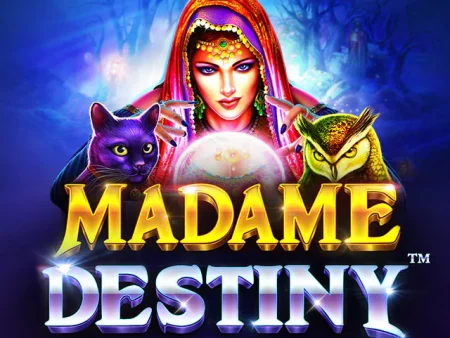 Madame Destiny 1000x Gewinn✅