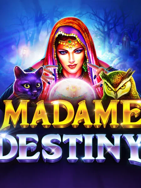 Madame Destiny 1000x Gewinn✅